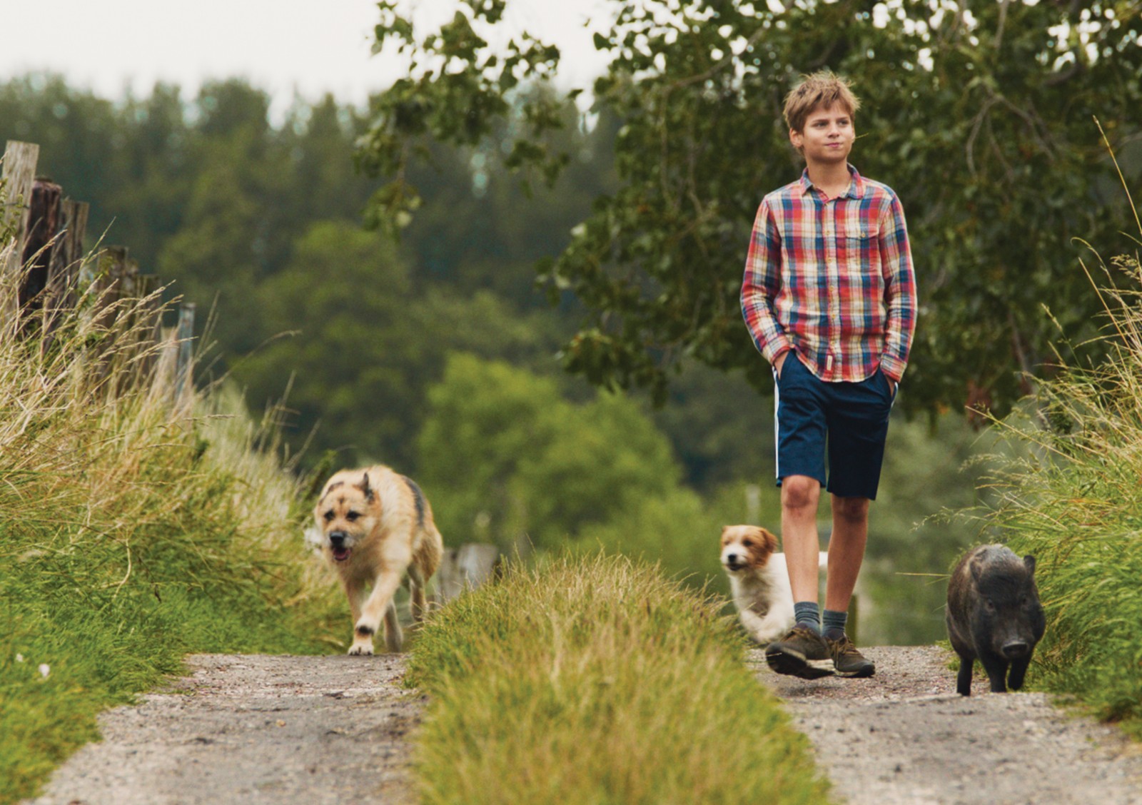 Lemming Film | remi, nobody's boy